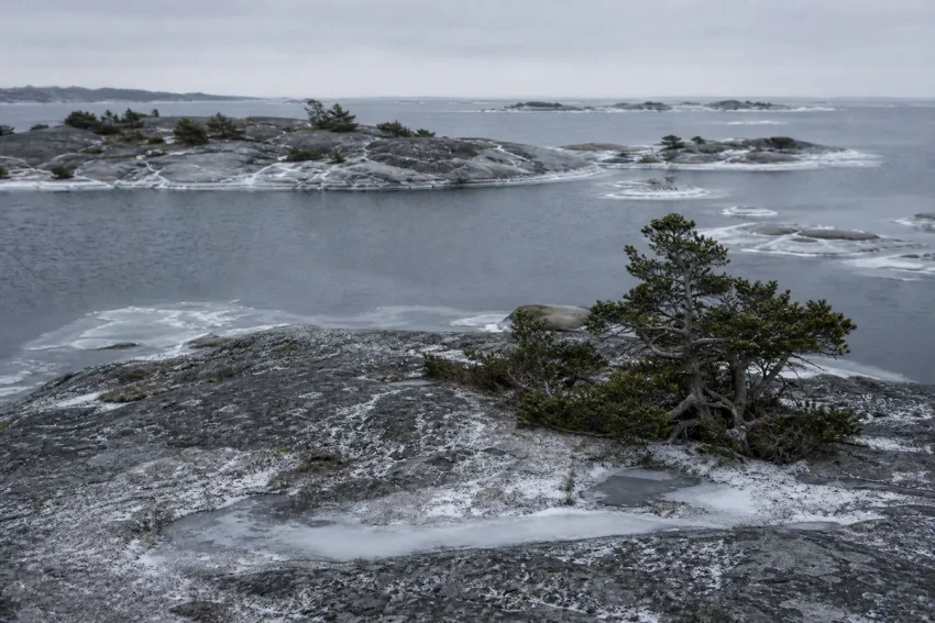 Kal granitkobbe i vinterljus med tunn is längs kanten och mörkt öppet vatten bortom